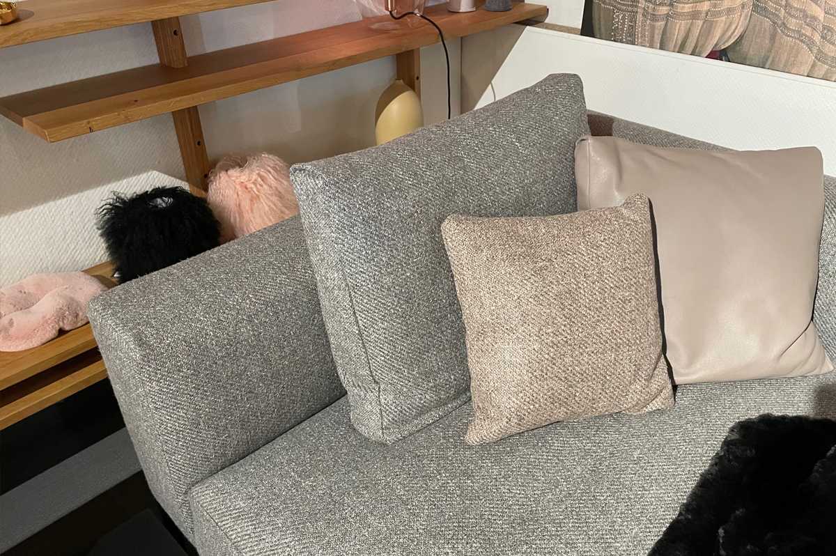 Walter Knoll Jaan Living Leder Ellen Taupe Grau Mit Kissen